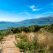 Τμήμα της διαδρομής με θέα προς την λίμνη Παμβώτιδα
Εφορεία Αρχαιοτήτων Ιωαννίνων Copyright © Υπουργείο Πολιτισμού και Αθλητισμού